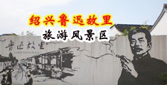 刘涛的小穴被大鸡巴插的流血的视频中国绍兴-鲁迅故里旅游风景区