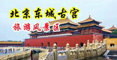 大鸡吧尻尻大黑逼视频中国北京-东城古宫旅游风景区